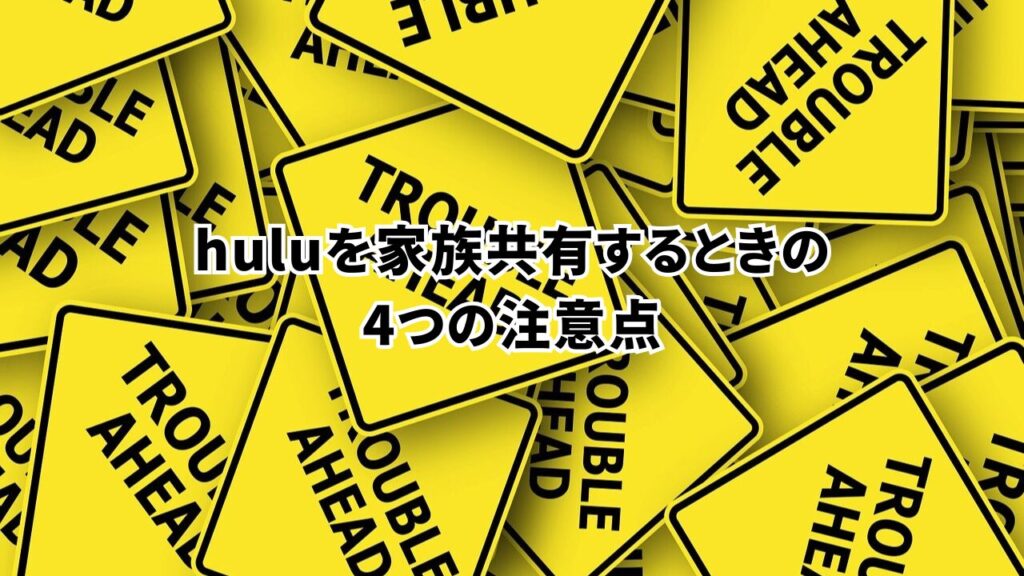 huluを家族共有する時の4つの注意点